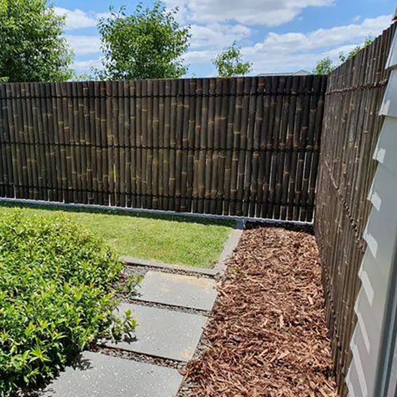 Bamboo-fencing-au.webp