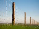 Hinge_joint_11-142-15.webp